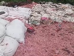 Ribuan Ton Sampah Didaur Ulang Program Lingkungan Ini Hasilkan Cuan bagi Warga